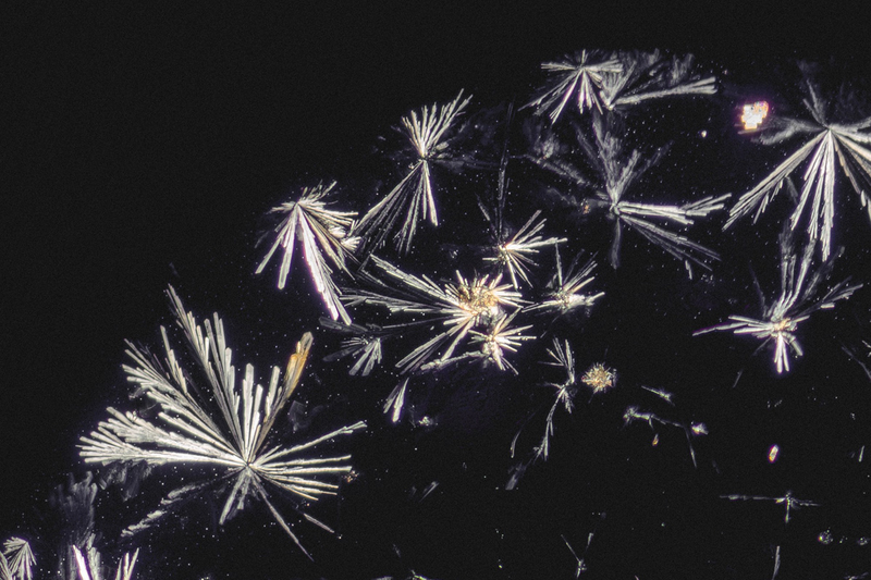 Illustration for article titled Narcotics and Medicines Look Beautiful Under a Microscope